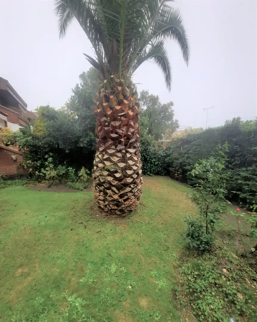 Garden of Detached homes for sale in Las Rozas de Madrid  with Heating, Private garden and Terrace