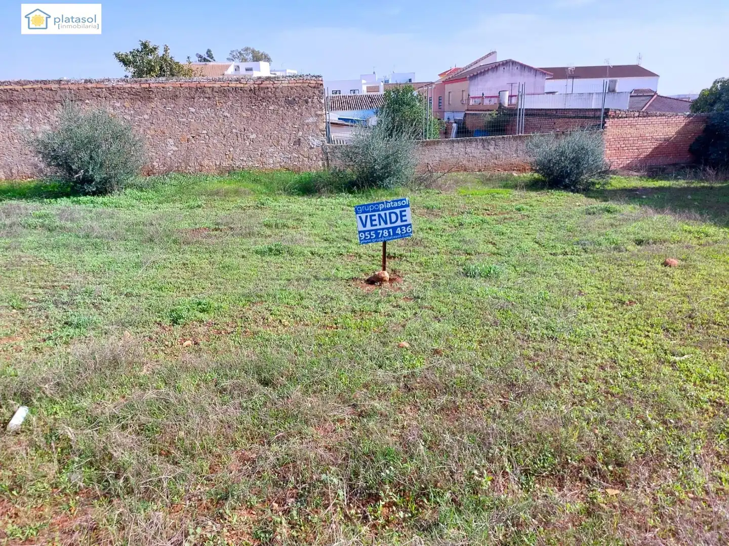 Terreni e lotti in vendita a ALEGRIAS