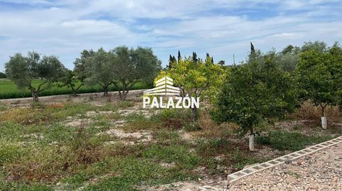 Casa de campo en venta, cerca de Catral Alicante, imagen 3