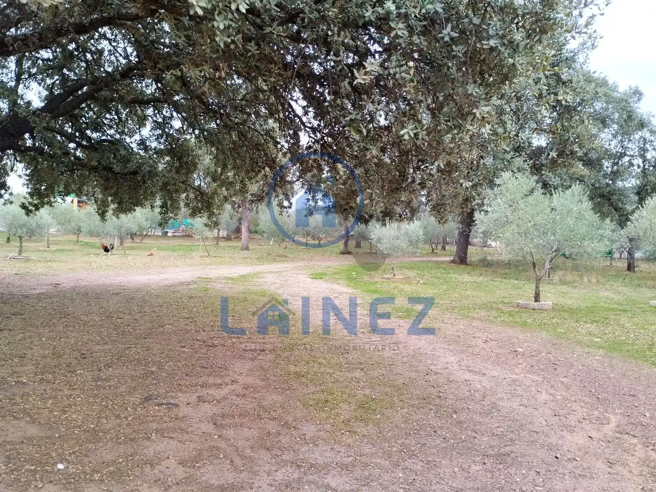 Residential for sale in Villanueva del Duque