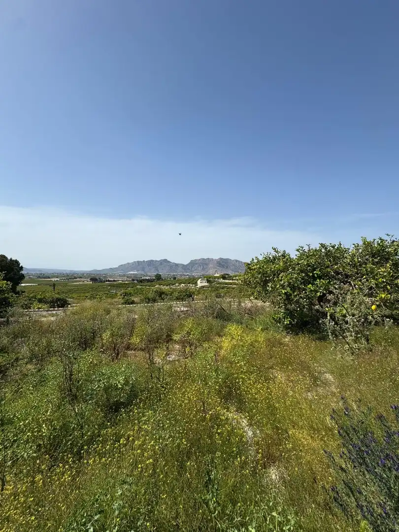 Finca rústica en venta en Rafal con Amueblado