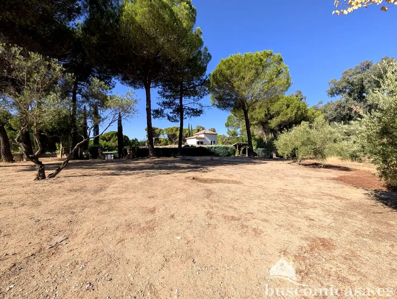 Maison rustique avec piscine à vendre à Santuario Virgen de la Cabeza, imagen 26