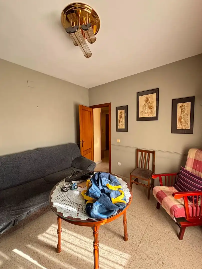 Living room of Flat for sale in Santa Cruz de Mudela