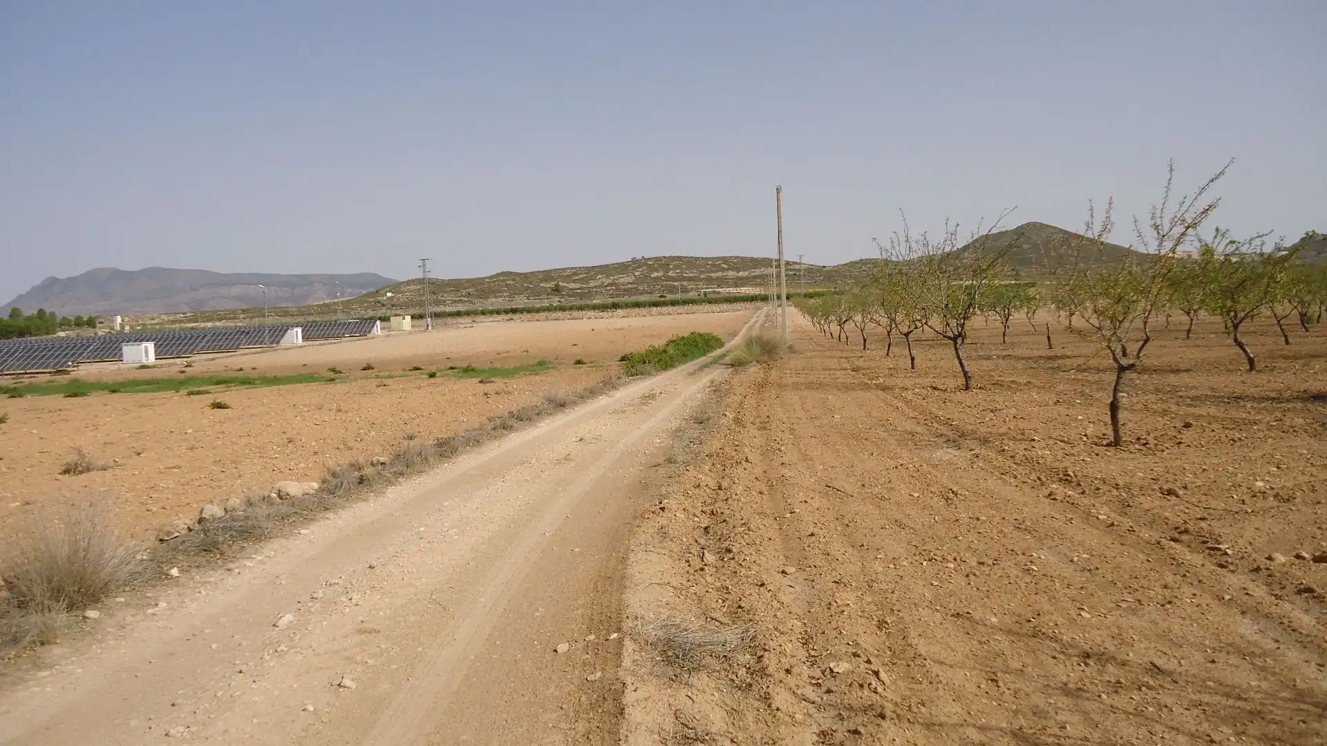 Rustikales Grundstück zum Verkauf in Jumilla, imagen 6