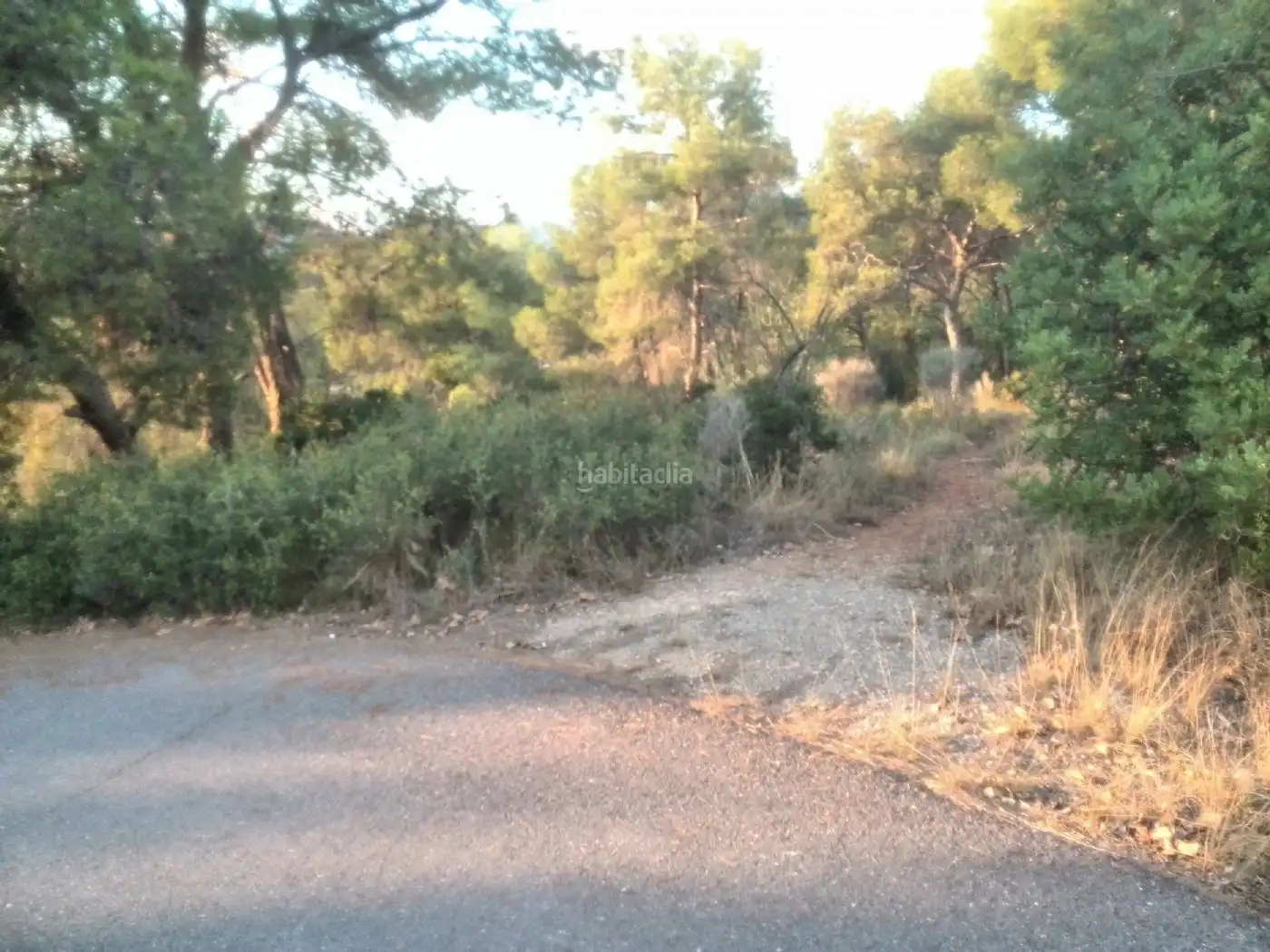 Terreny rústic en venda a Plaça Poligono 11 316, imagen 3