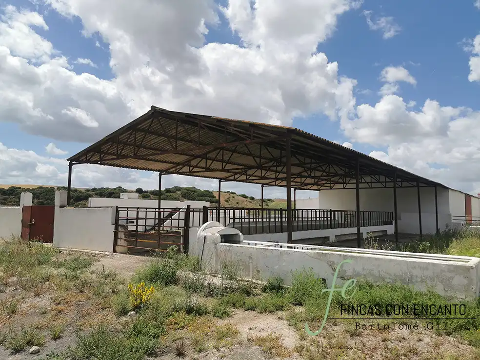 Exterior view of Country homes for sale in Espera