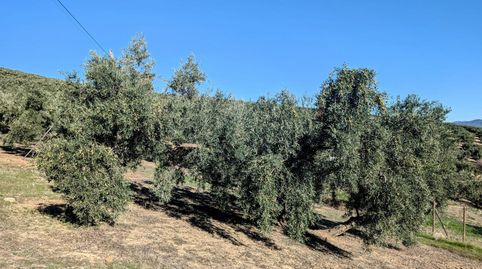 Finca Rúst. en venta en Loja., image 4