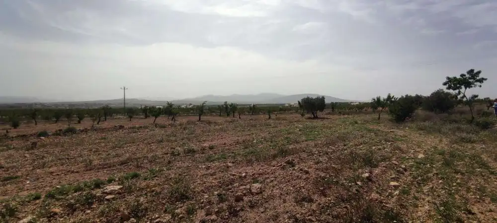 Casa en venda a El Pinós / Pinoso, imagen 17