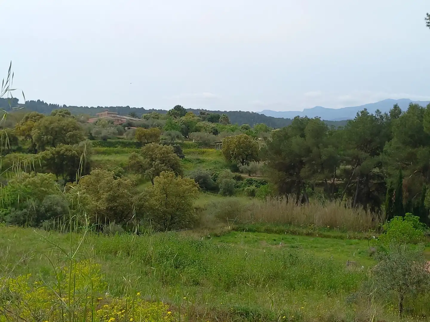 Rural land for sale in Ginestar, imagen 34