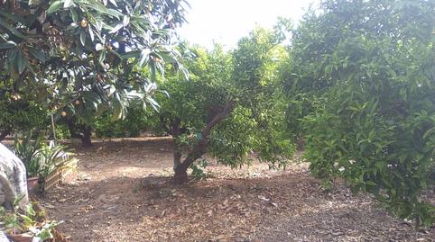 Photo 5 of Country house for sale in Centro - El Castillo, Valencia