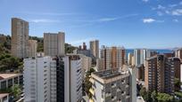 Vista exterior de Apartament en venda en Benidorm amb Aire condicionat, Terrassa i Piscina comunitària