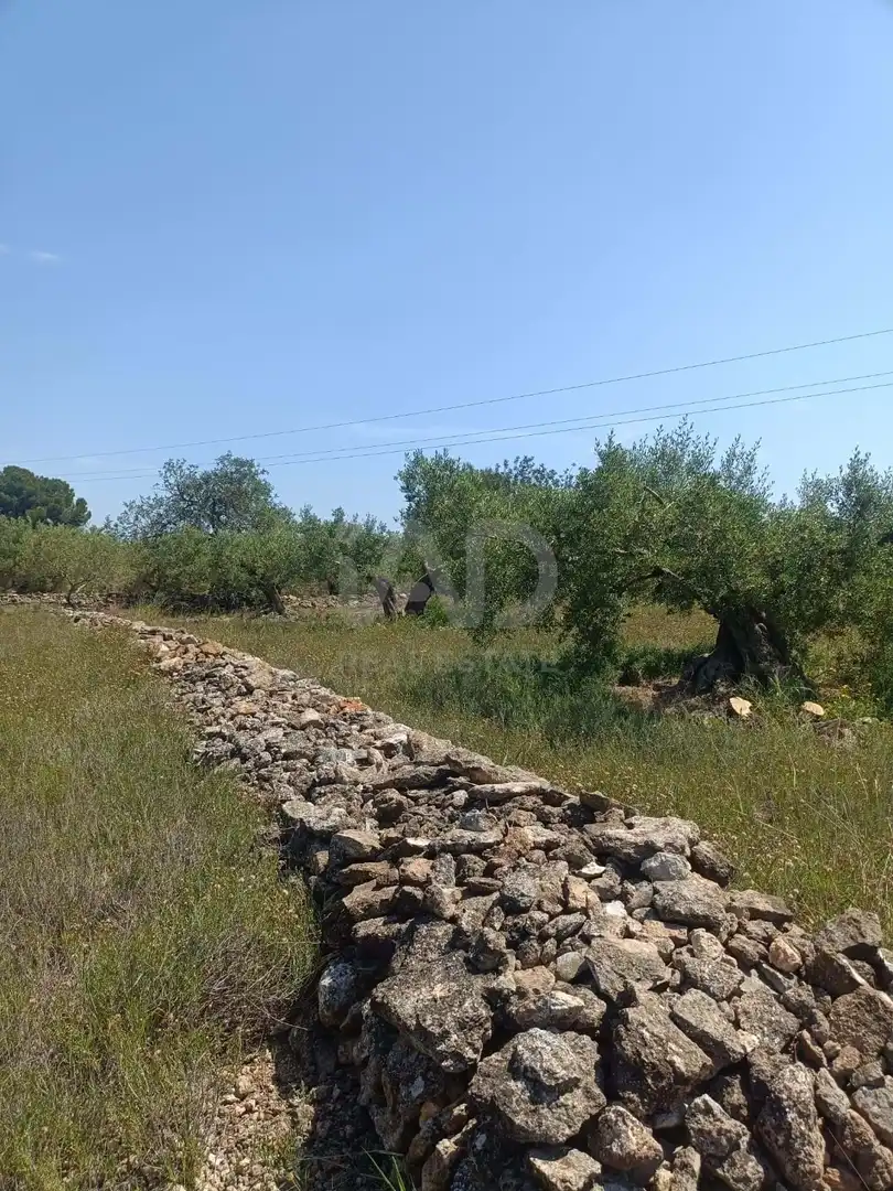Residencial en venda en L'Ametlla de Mar 