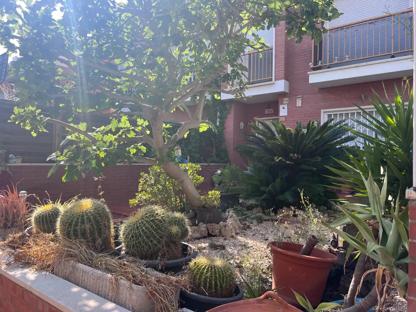 Jardí de Casa adosada en venda en Premià de Mar amb Calefacció, Jardí privat i Terrassa