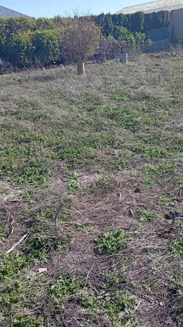 Terreno rustico in vendita a Pedanías - Extrarradio
