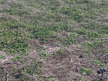 Terreno rustico in vendita a Pedanías - Extrarradio