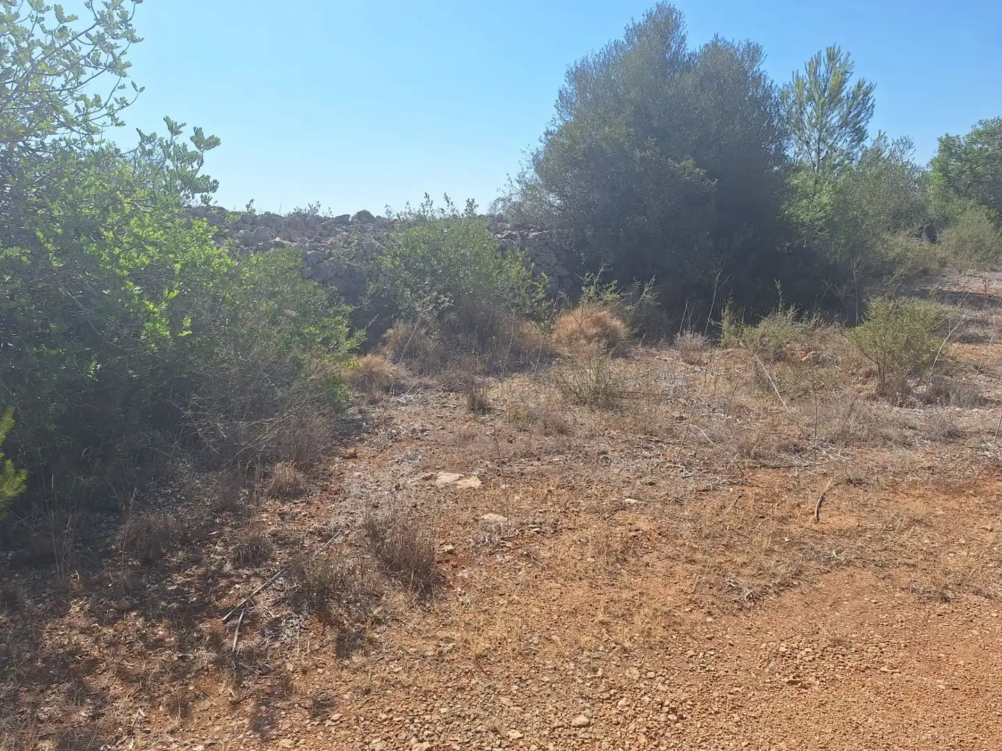 Terreno rustico in vendita a Algaida, imagen 13