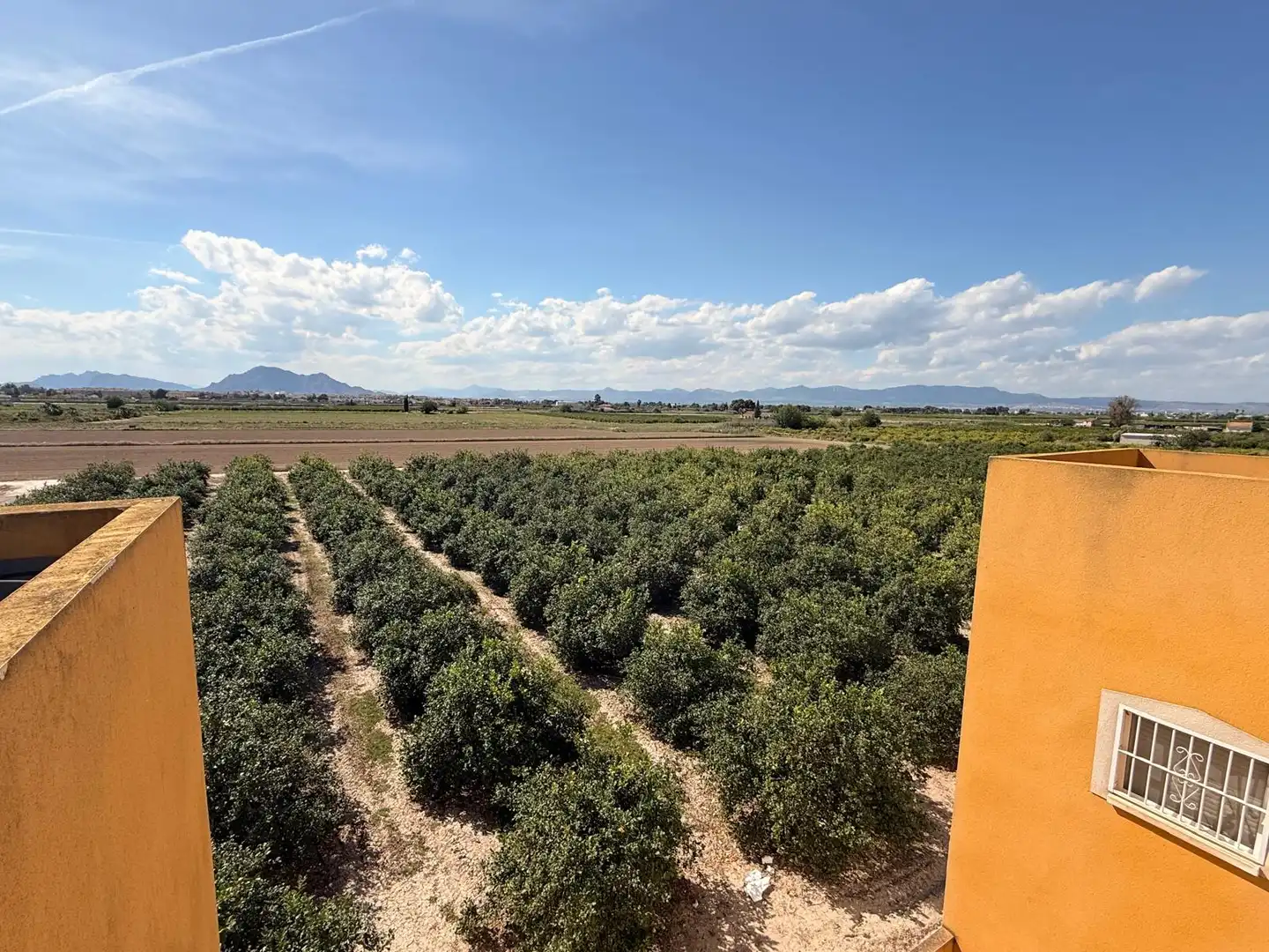 Apartamento en venta en Daya Nueva con Terraza, Balcón y Piscina comunitaria