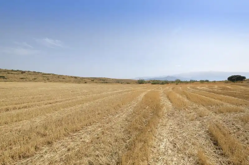 Terreni e lotti in vendita a Padul, imagen 26