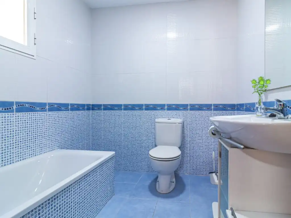 Baño de Piso en venta en L'Alcúdia
