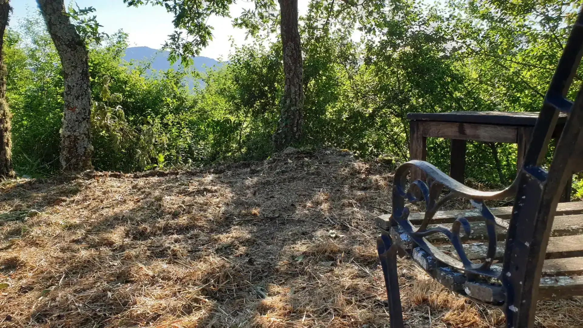 Casa o xalet en venda en Viana do Bolo amb Jardí privat, Parquet i Moblat