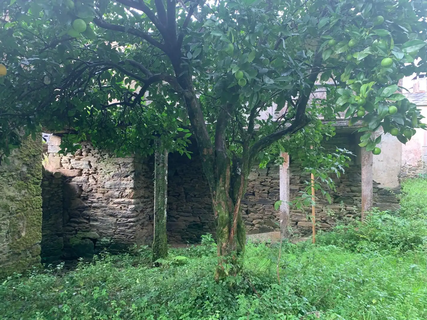 Casa rústica en venda a Camino Castillo Arriba, imagen 53