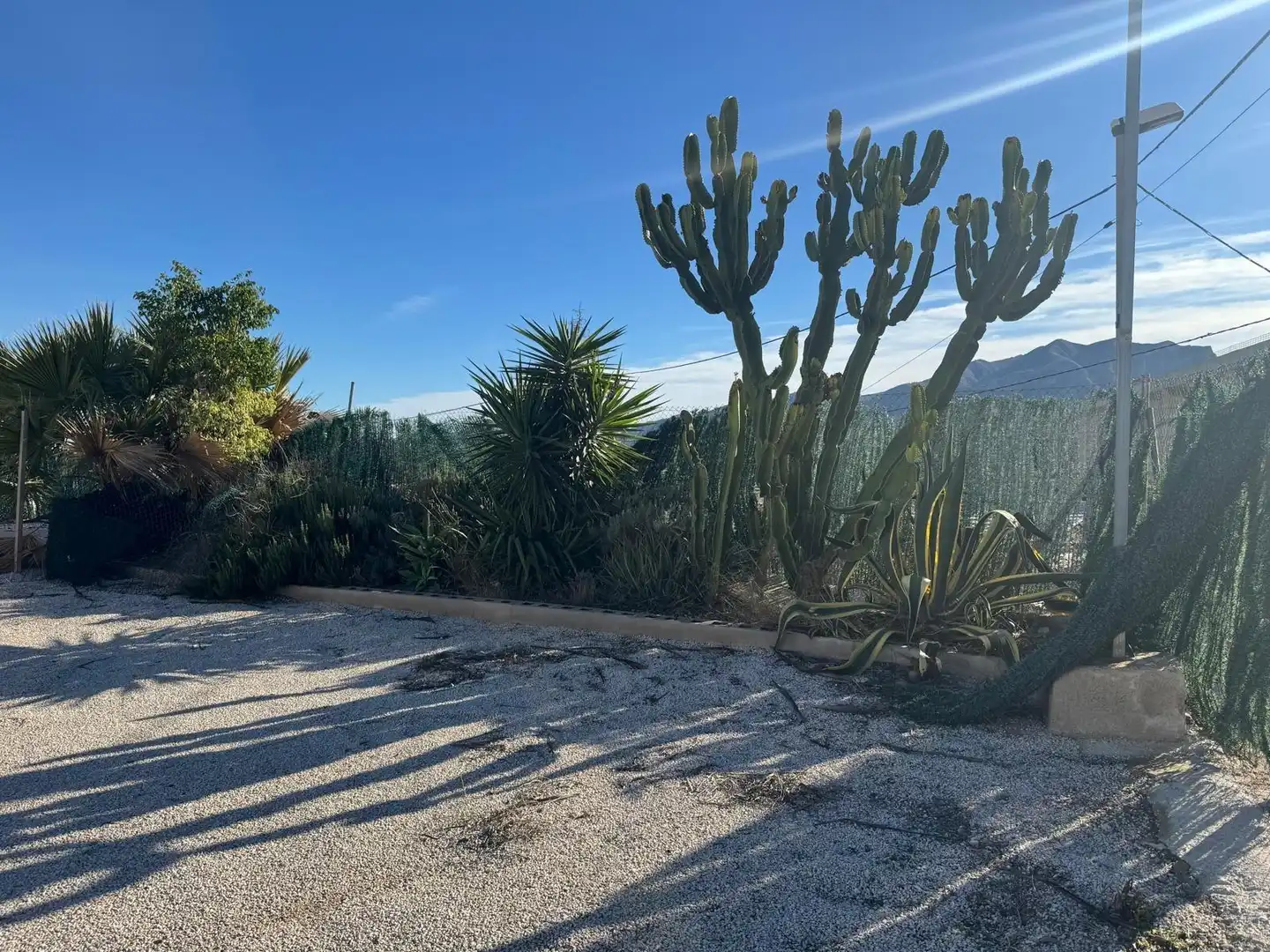 Casa en venta en de la Gineta 1, imagen 12