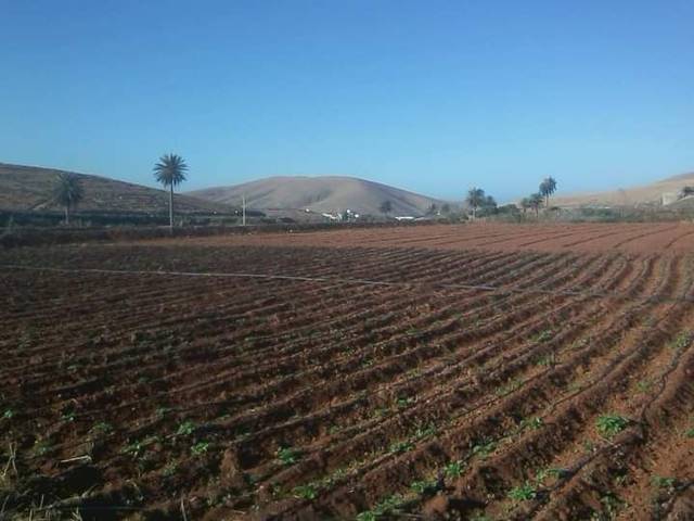 Finca rústica en Venta en Toto