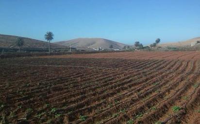 Finca rústica en venda en Pájara