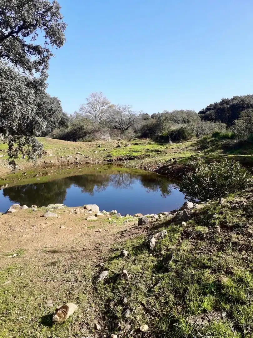 Rural land for sale in Fuente Obejuna, imagen 23