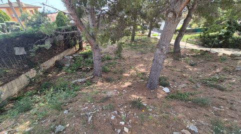 PARCELA URBANA CON PROYECTO., immagine 2