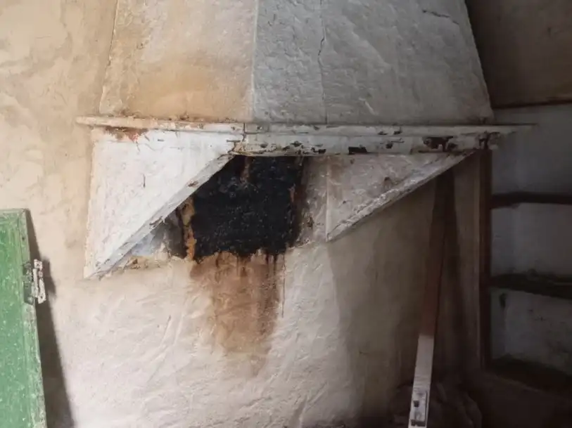 Casa rústica en venda a Salsipuedes 3, imagen 5
