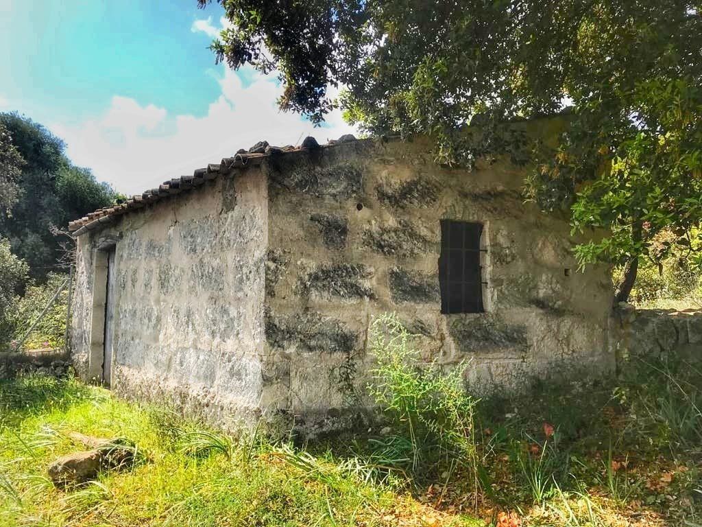 Vista exterior de Casa o chalet en venta en Selva