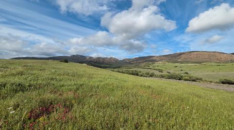 Photo 5 of Land for sale in Tarifa ciudad, Cádiz