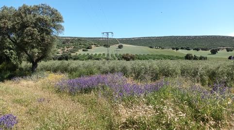 Photo 3 of Land for sale in Centro - Plaza Mayor, Ciudad Real Capital