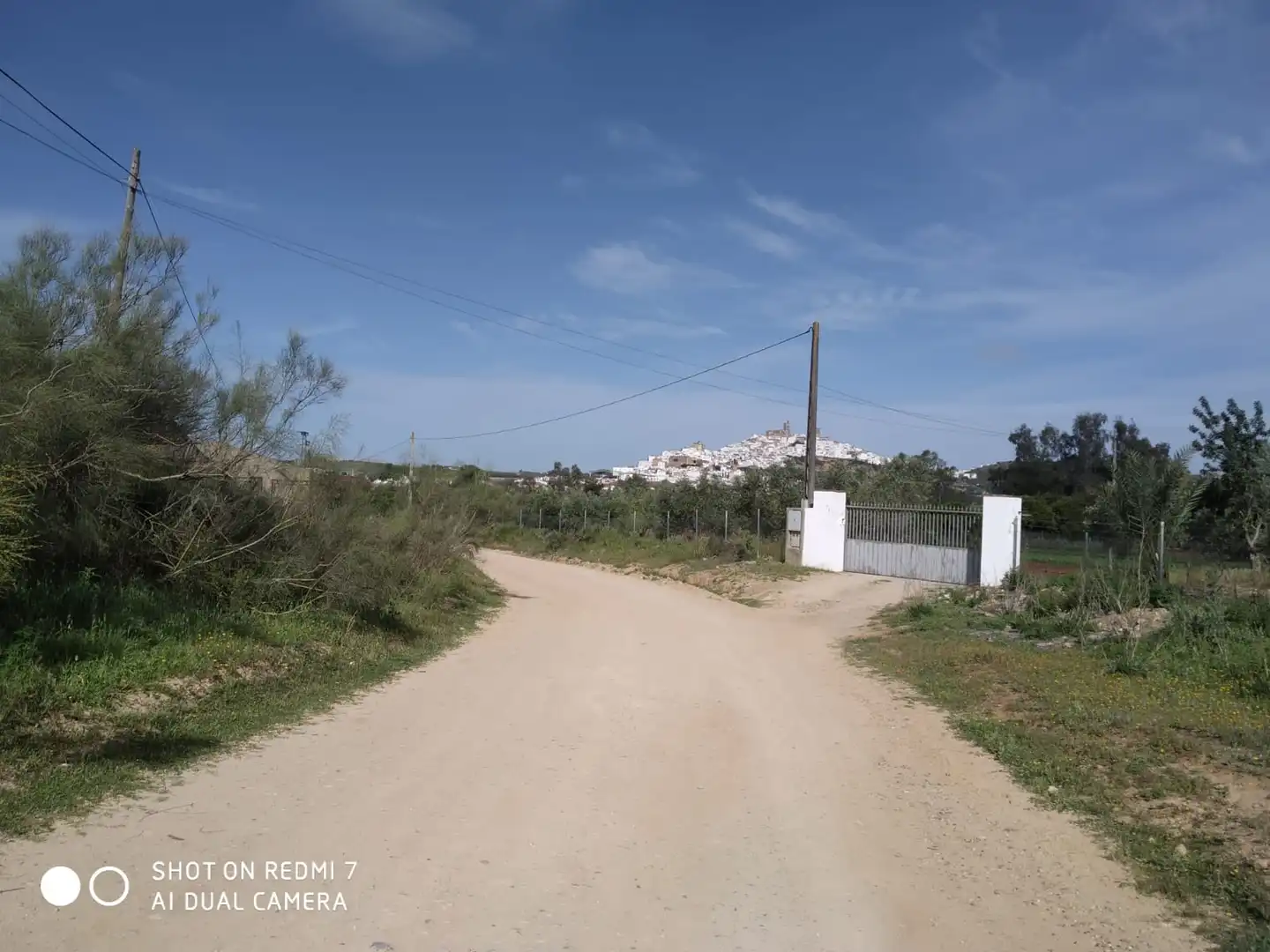 Terreny rústic en venda a Arcos de la Frontera, imagen 3