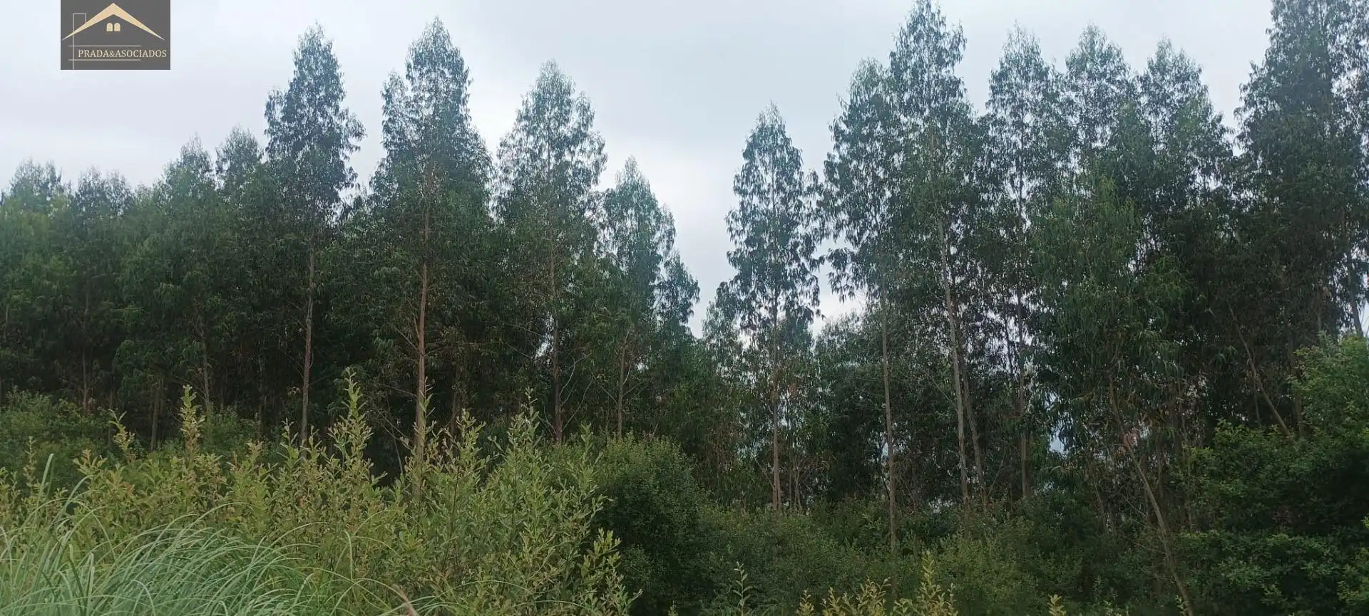 Terrenys i solars en venda a Cabezón de la Sal, imagen 2