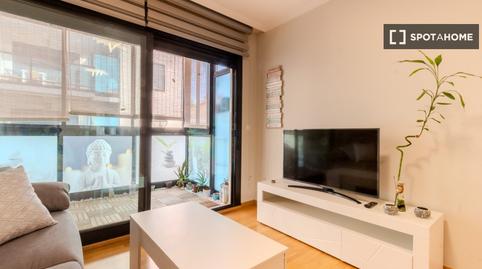 Photo 3 of Study to share in Norte, Alicante