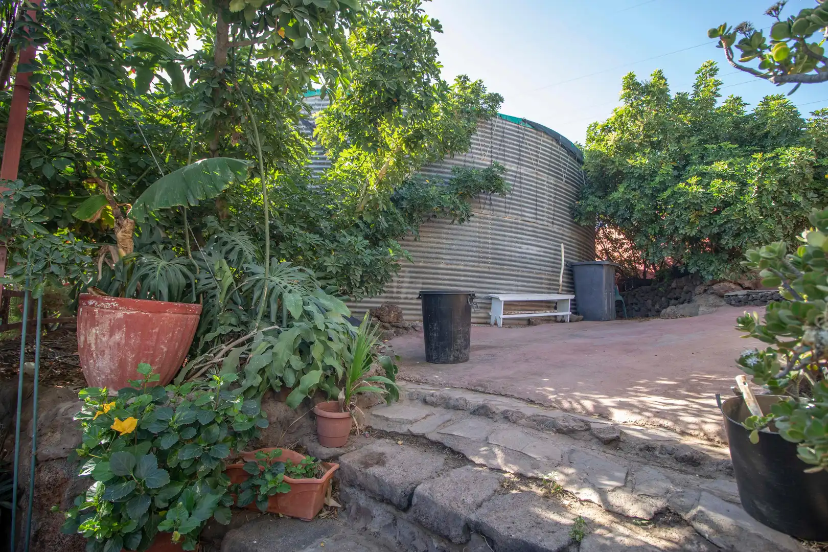 Exterior view of Houses for sale in San Miguel de Abona