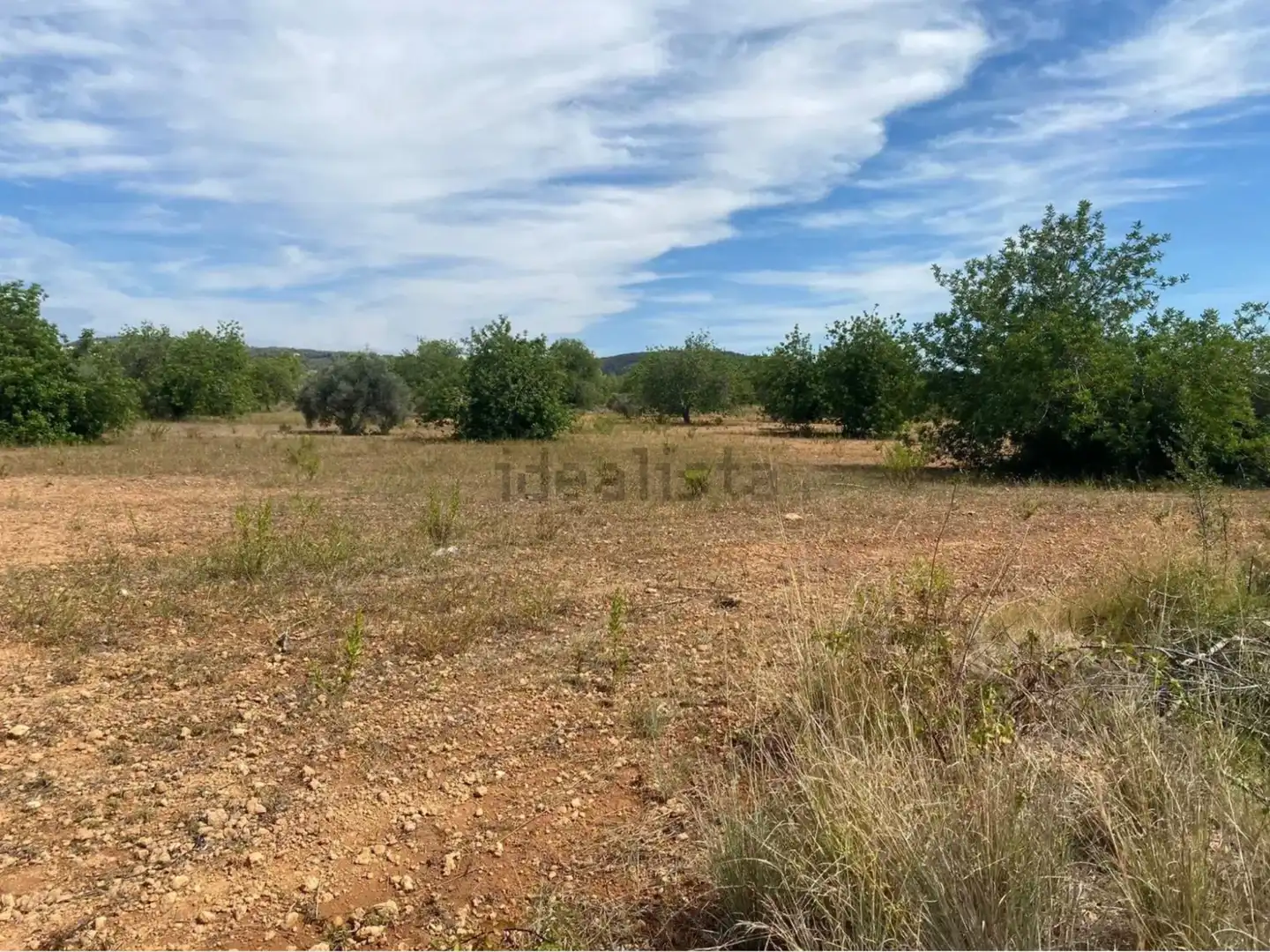 Rural land for sale in Extrarradio Diseminado 1, imagen 12