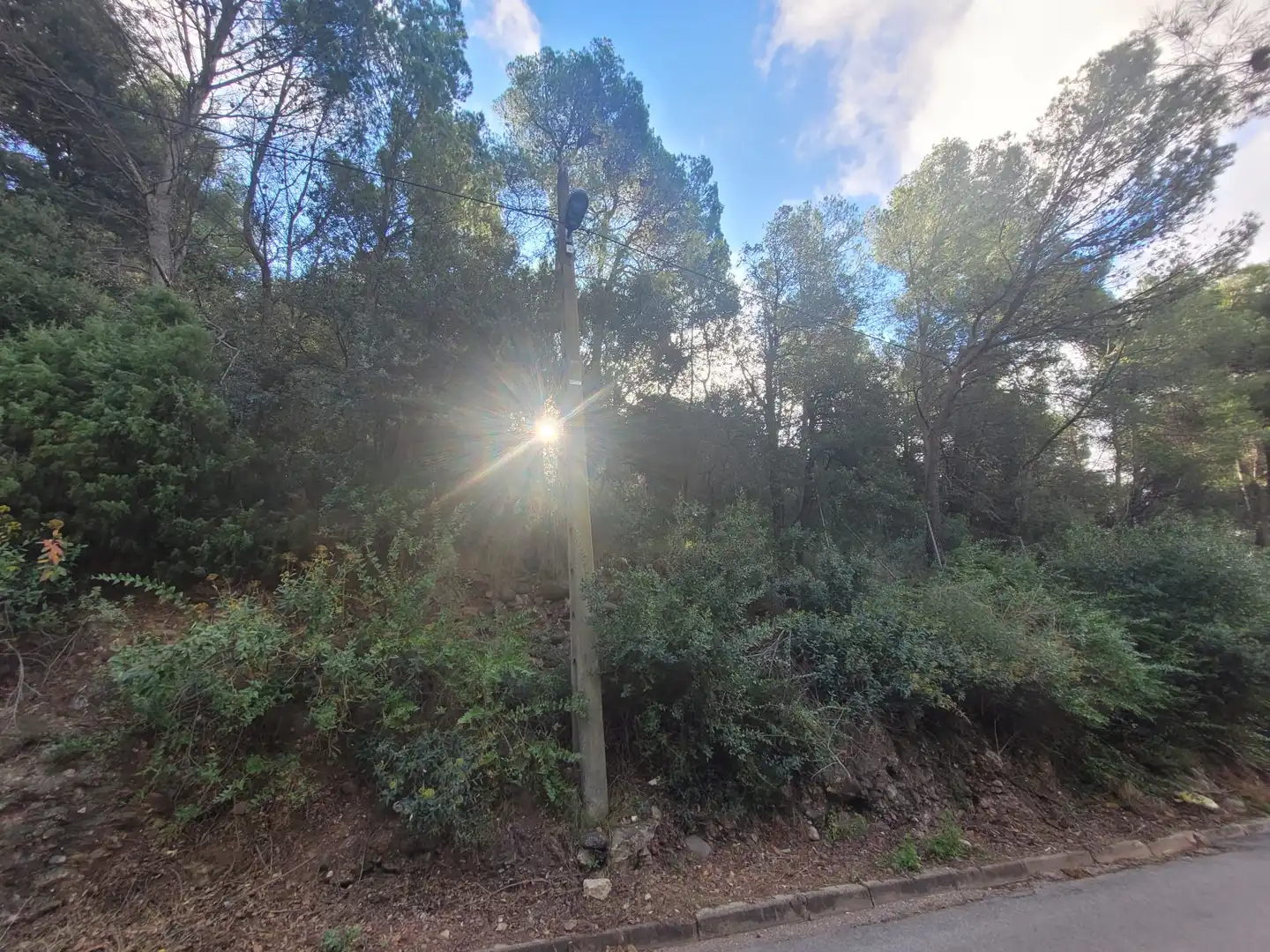 Residential land for sale in Carrer Camí del Moliner 55, imagen 4