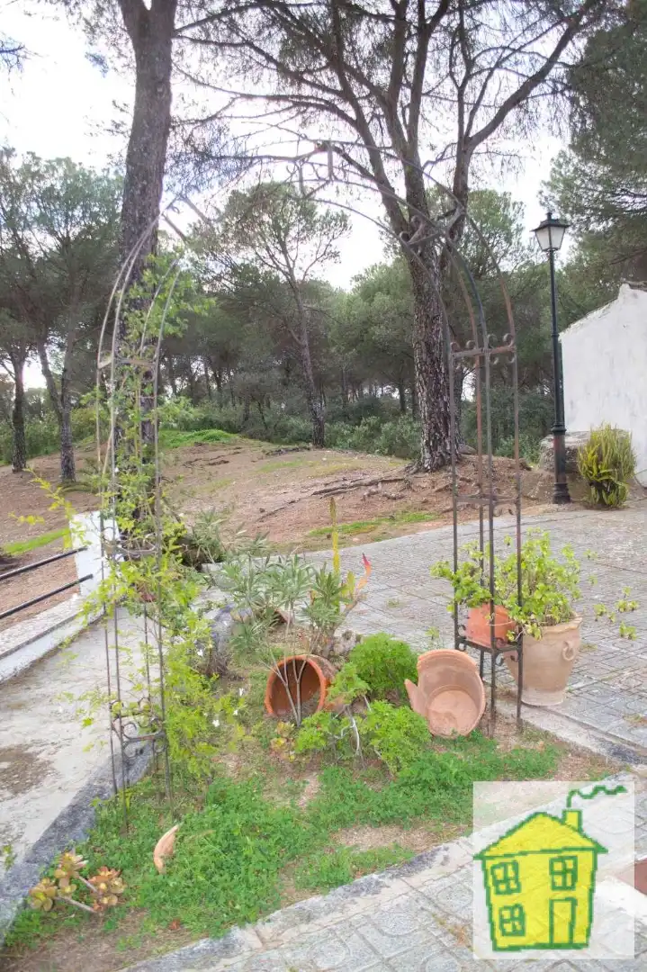 Casa rústica amb piscina en venda a Andújar, imagen 7