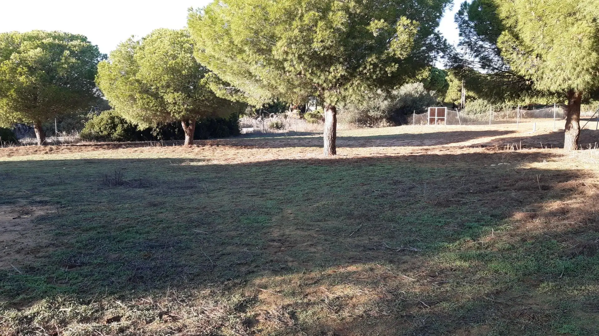 Casa o chalet en venta en Puerto Real