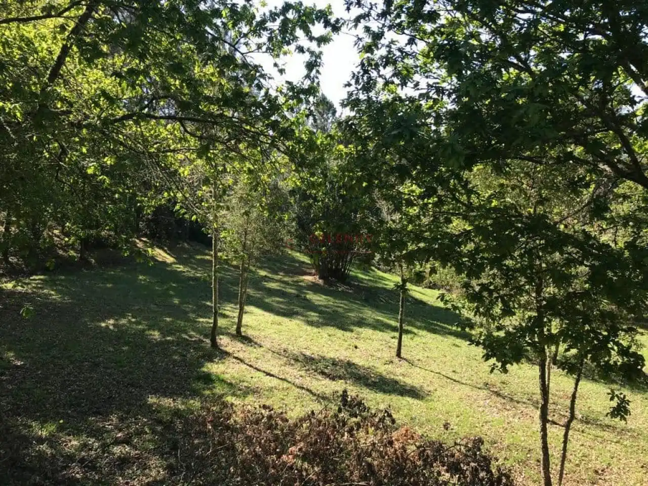 Terreni e lotti in vendita a SANTA MARIA DE MELIAS, imagen 3