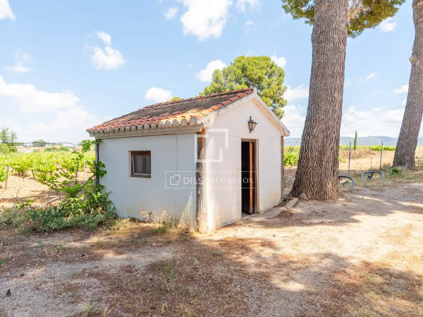 Finca rústica en venda en Requena amb Calefacció, Jardí privat i Terrassa