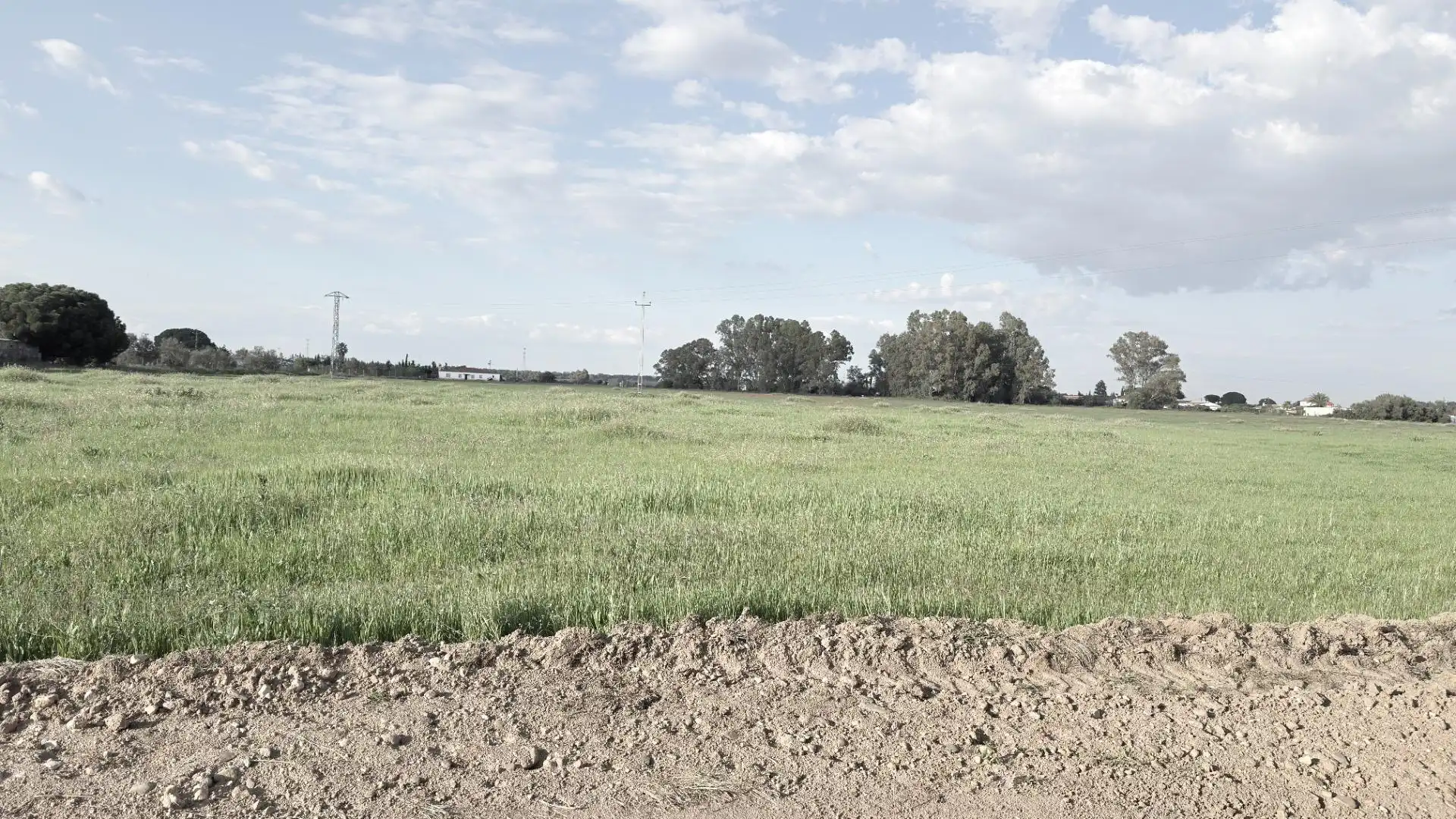Terrenos y solares en venta en Gibraleón, imagen 4