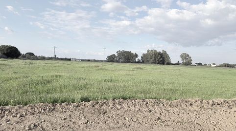 FINCA RUSTICA EN EL PINTADO GIBRALEÓN  HUELVA, immagine 4