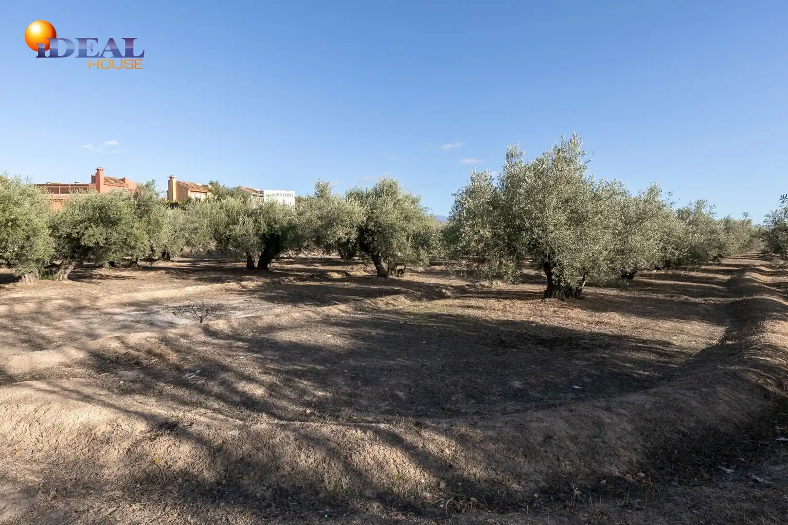 Terreno residencial en venta en Calle LOS JUNCOS, imagen 25