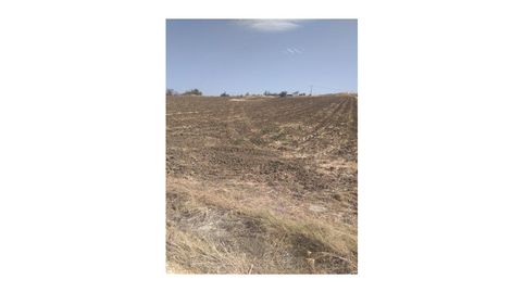 Finca para cultivo, Agua y Luz  Arriate, immagine 3