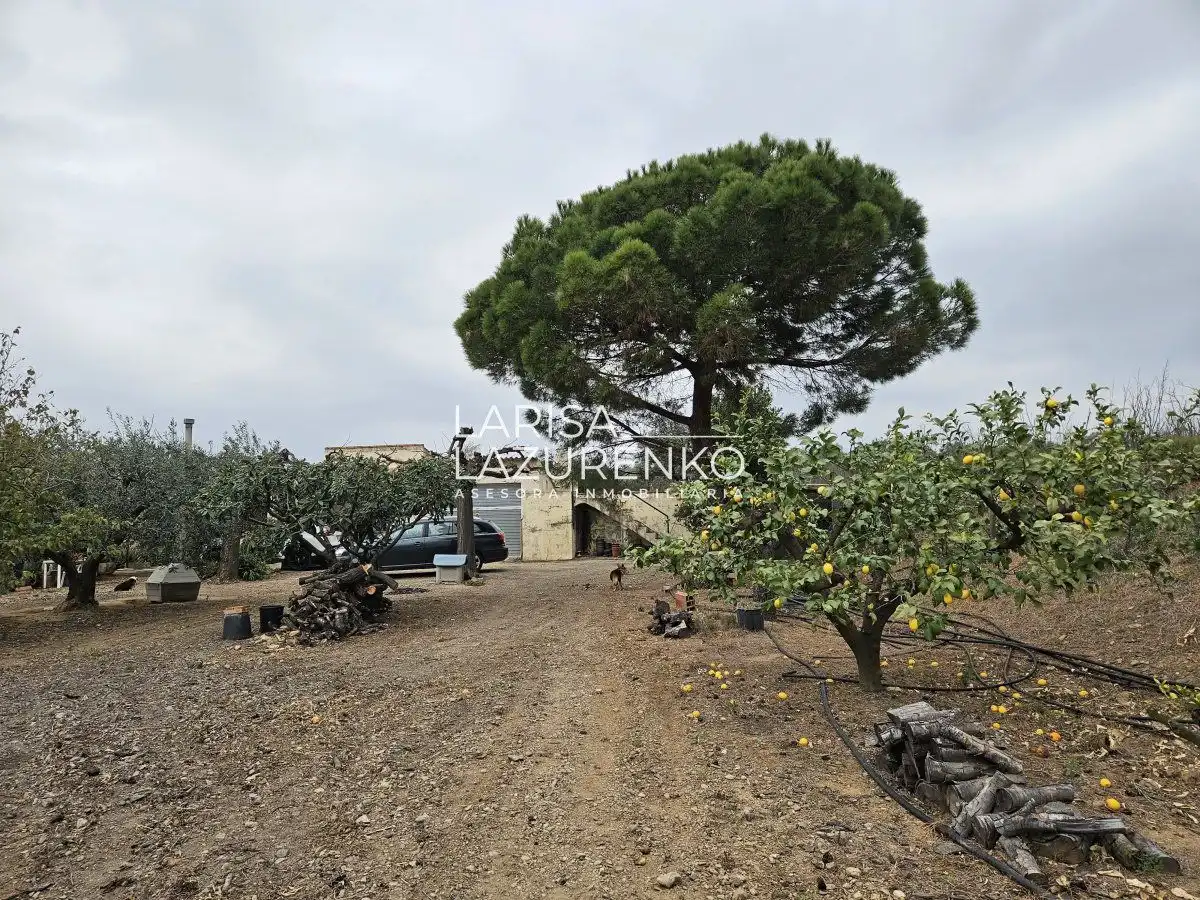 Finca rústica en venda en Riudoms
