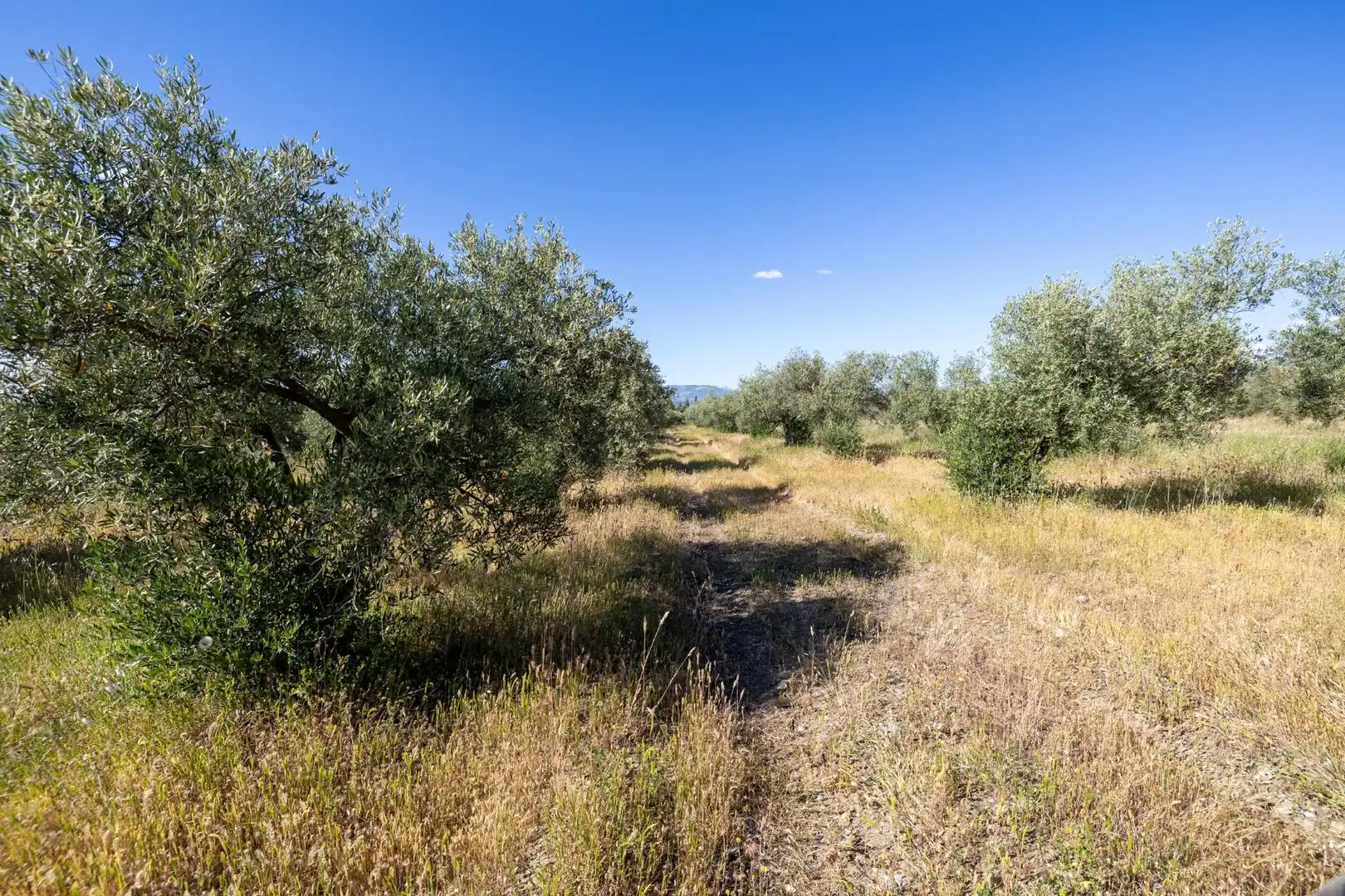 Rural land for sale in Polígono 3 Parcela 220 Arnique, imagen 29